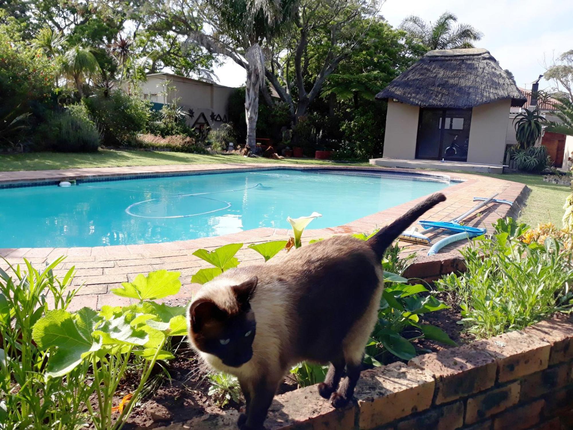 Bed and Breakfast Field'S Rest Port Elizabeth Esterno foto